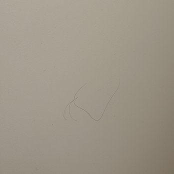 Motel 6 - There was hair all over the room on back of the restroom door - Hotels Near Me - Yreka, California Motel 6 - There was hair all over the room on back of the restroom door - Hotels Near Me - Yreka, California