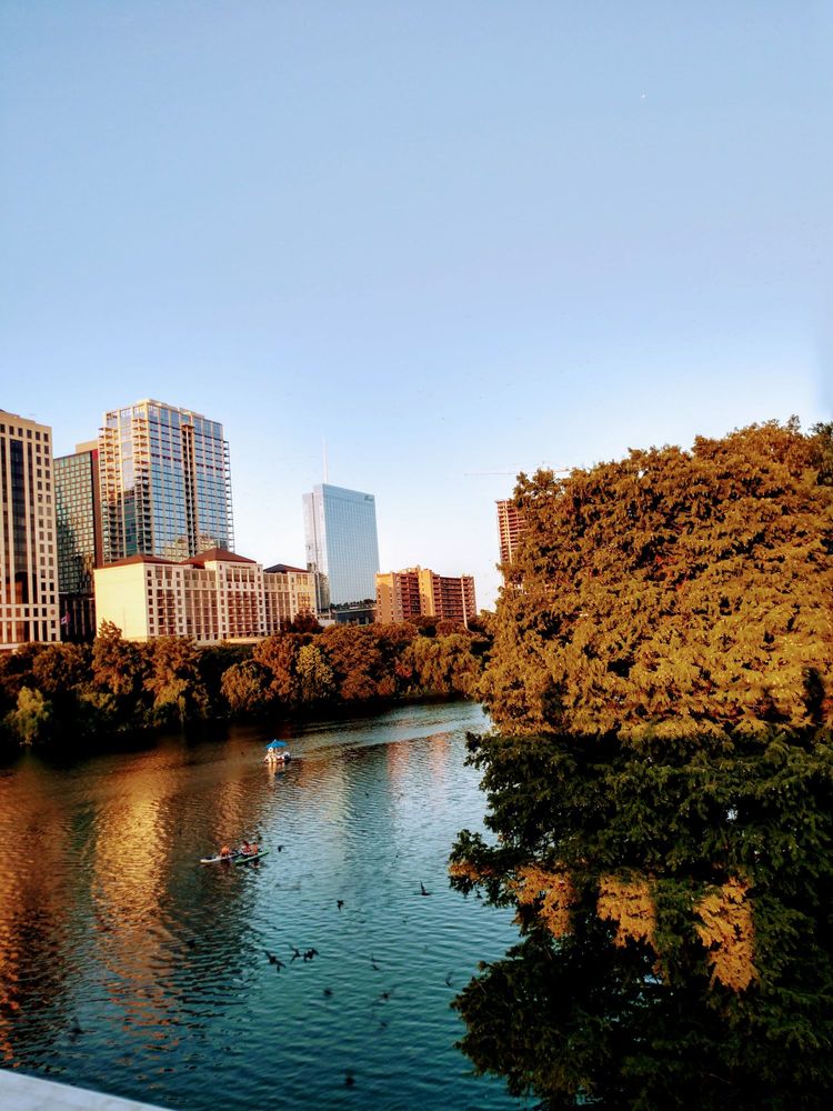 Bats Under the Congress Avenue Bridge 633 Photos & 466 Reviews