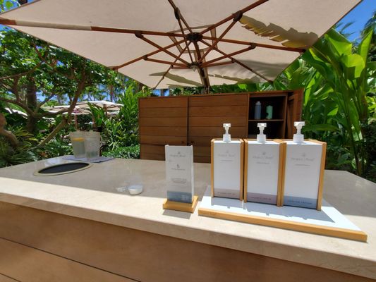 Four Seasons Resort Lanai by null