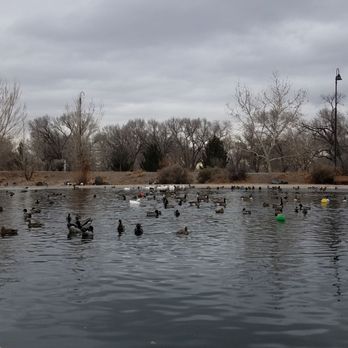 The Duck Pond @ Tingley Beach - 1/7/2019 The Ducks - Parks Near Me - Albuquerque, New Mexico The Duck Pond @ Tingley Beach - 1/7/2019 The Ducks - Parks Near Me - Albuquerque, New Mexico