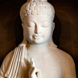 Evo Spa - Meditate