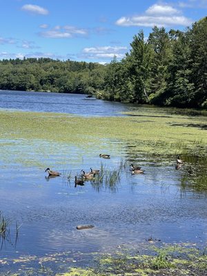 Promised Land State Park by null