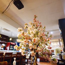 MIYAKO RESTAURANT - Updated June 2026 - 428 Photos & 286 Reviews