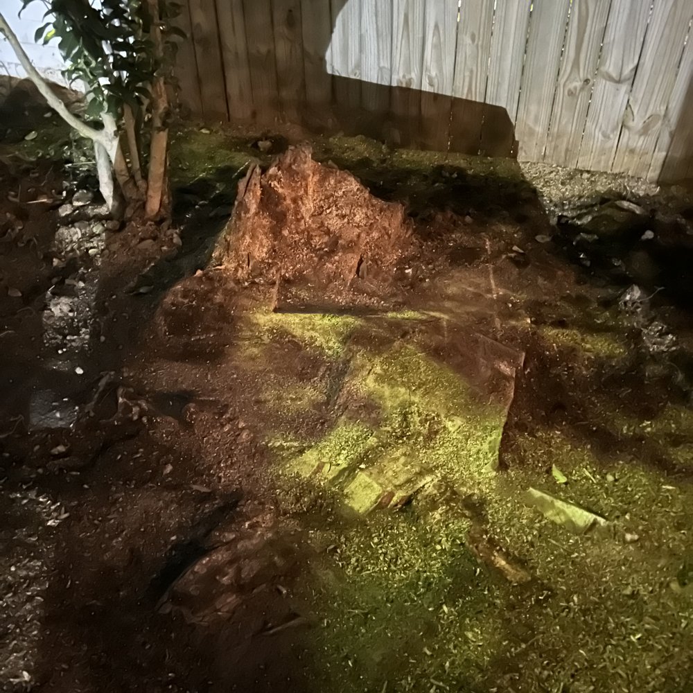 Chesbay Landscaping - Thats the finished tree stump grinding - Landscaping Near Me - Yorktown, Virginia Chesbay Landscaping - Thats the finished tree stump grinding - Landscaping Near Me - Yorktown, Virginia