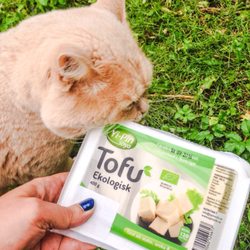 Tips: ekologisk tofu! (men i ärlighetens namn är tofu extra hård snäppet bättre), augusti 2016