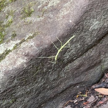 Breaks Interstate Park - Parks Near Me - Breaks, Virginia Breaks Interstate Park - Parks Near Me - Breaks, Virginia