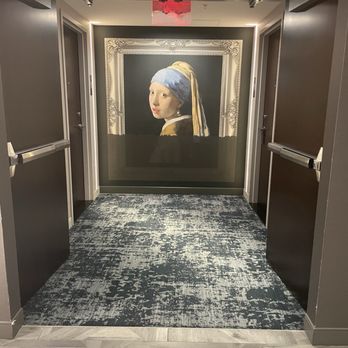 Renaissance Albany - Girl with a pearl earring. - Hotels Near Me - Albany, New York
