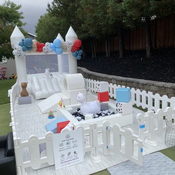 Poptastic Parties - Balloon Services Near Me - Pleasanton, California