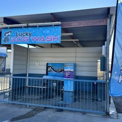 The dog wash