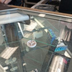 Ross Dress for Less - The pin that was in my toe