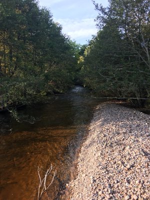 Rothiemurchus by null