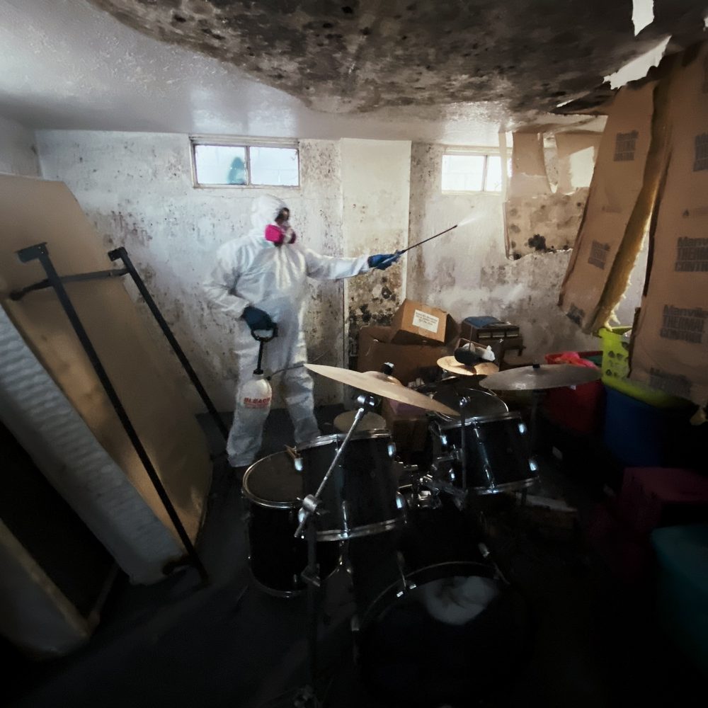 Mold testing & Mold Removal Services   - mold inspector in Moreno Valley, CA