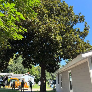 TSR Tree Service - Tree Service Removal, trimming, and stump removal & grinding - Tree Services Near Me TSR Tree Service - Tree Service Removal, trimming, and stump removal & grinding - Tree Services Near Me