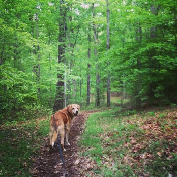 Carter Caves State Resort Park - Trail running behind the campgrounds. The park is dog friendly. Just make sure they are leashed ;) - Parks Near Me - Wolf, Kentucky Carter Caves State Resort Park - Trail running behind the campgrounds. The park is dog friendly. Just make sure they are leashed ;) - Parks Near Me - Wolf, Kentucky