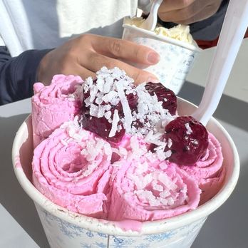 Polar Bear Rolled Ice Cream - Ice Cream & Frozen Yogurt Near Me - Union City, California Polar Bear Rolled Ice Cream - Ice Cream & Frozen Yogurt Near Me - Union City, California