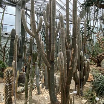 Palmengarten - Botanical Gardens Near Me - Frankfurt, HE