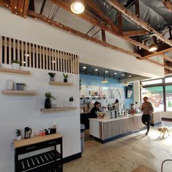 Dark Horse Coffee Roasters - A dog