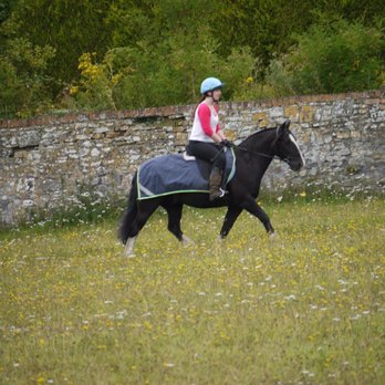 Clack Mill Riding Stables - Sammy - Horseback Riding Near Me - Bristol, BST