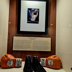 Adventist Health White Memorial - Oscar de la Hoya contributed to a cancer center at the hospital , which opened in 2000