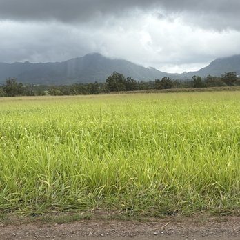Sweet Land Farm - beautiful and serene - Cheese Shops Near Me - Waialua, Hawaii Sweet Land Farm - beautiful and serene - Cheese Shops Near Me - Waialua, Hawaii
