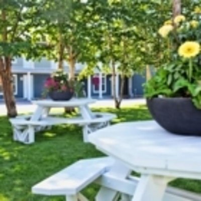 Royal Inn + Suites by null