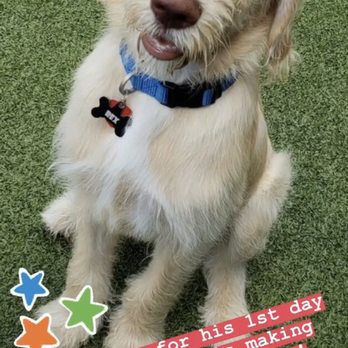 Pawlins Total Pet Care - Pet Groomers Near Me - New Orleans, Louisiana