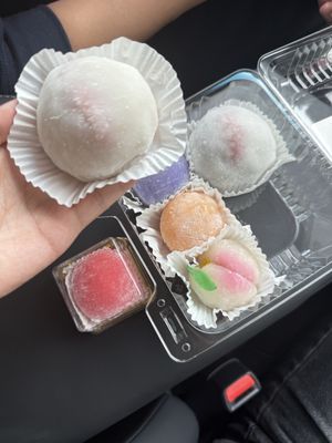 THANK YOU VERY MOCHI by null