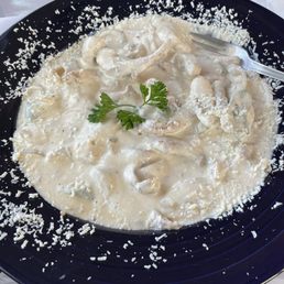 Pollo con Crema Special- asked for it spicy (they added jalapeños)