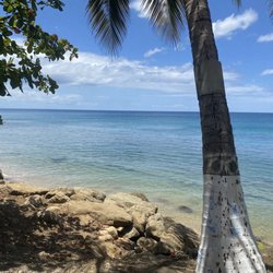 Rincon Diving & Snorkeling