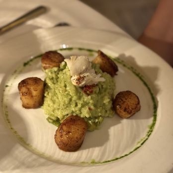 Barka - Scallops - Seafood Near Me - Mountain Lakes, New Jersey Barka - Scallops - Seafood Near Me - Mountain Lakes, New Jersey