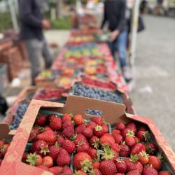 Madison Park Farmers Market