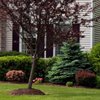 Lehan's Lawn and Landscaping gift card
