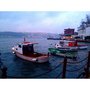 Photo of Tarihi Çınaraltı Aile Çay Bahçesi