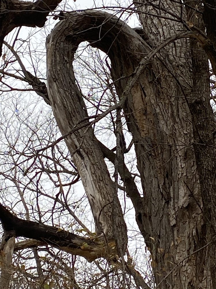 MARTY BENDER NATURE AREA Updated June 2024 3028 S Holmes Rd, Salina