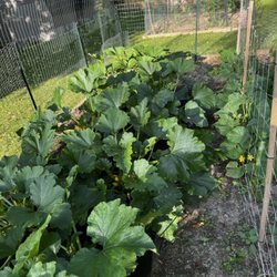 Wholesale Mulch and Gravel - Zucchini