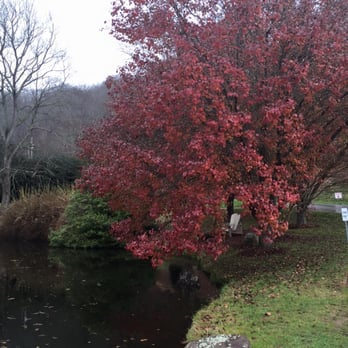 Boyd Mountain Christmas Tree Farm - Boyd Mountain Christmas Tree Farm 2015 - Christmas Trees Near Me - Waynesville, North Carolina Boyd Mountain Christmas Tree Farm - Boyd Mountain Christmas Tree Farm 2015 - Christmas Trees Near Me - Waynesville, North Carolina