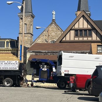 Mr Ed's Tree Service - Tree Services Near Me - Gibsonia, Pennsylvania Mr Ed's Tree Service - Tree Services Near Me - Gibsonia, Pennsylvania