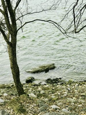 Tennessee Riverpark by null