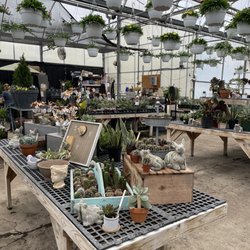 Maryland Flower & Foliage Company