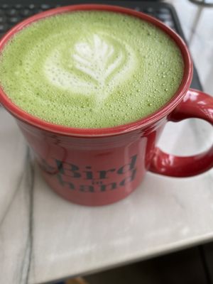 Bird in Hand by null