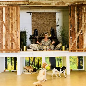 Eastside Hounds - Pet Training Near Me Eastside Hounds - Pet Training Near Me