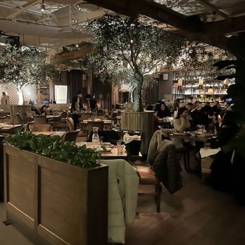 Aba - Mediterranean Near Me - Chicago, Illinois