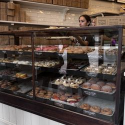 Donught case