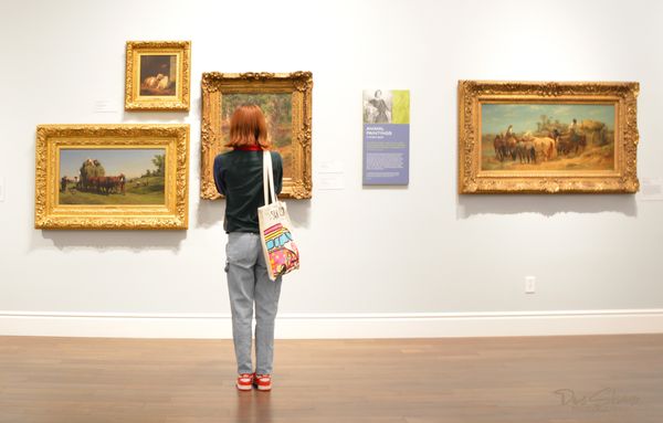 Haggin Museum by null