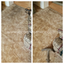 JP Carpet Service