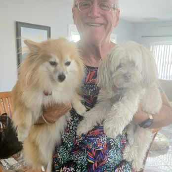 Village Pet Pals - Pet Transportation Near Me - West Palm Beach, Florida Village Pet Pals - Pet Transportation Near Me - West Palm Beach, Florida