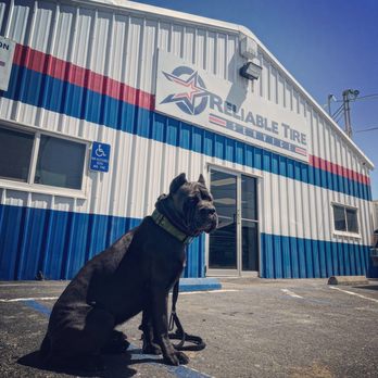 Reliable Tire Service - Ruger posing out front of shop - Tires Near Me - West Sacramento, California Reliable Tire Service - Ruger posing out front of shop - Tires Near Me - West Sacramento, California