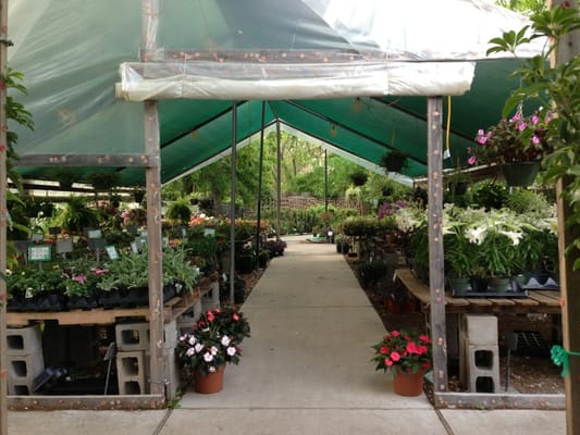 Plants For All Seasons 6610 Louetta Rd Spring Tx Nurseries Mapquest