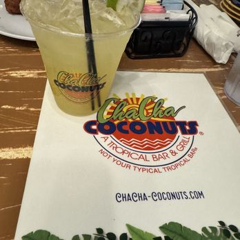 Cha Cha Coconuts - Margarita - Bars Near Me - Sarasota, Florida