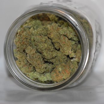 Greentree Express Collective - Sweet Kush Rip Genetics Greentree Delivery Private Reserve - Cannabis Collective Near Me - Lakeside, California Greentree Express Collective - Sweet Kush Rip Genetics Greentree Delivery Private Reserve - Cannabis Collective Near Me - Lakeside, California